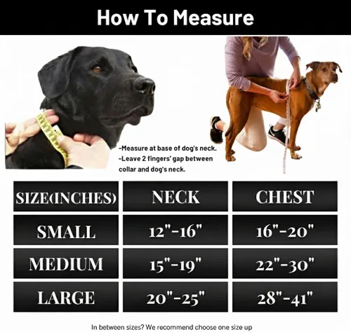 Miniatura 9 de Dog Harness - No Pull Adjustable Front Clip Vest with Soft Padding, 3Leash Clips, and No-Choke Oxford Design Comfort for Small, Medium, and Large