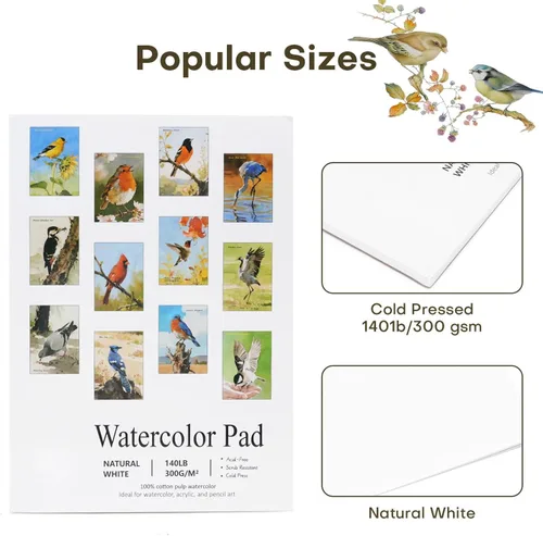 Miniatura 2 de RGBMIX 12 hojas de libro de papel de acuarela de pájaros, 6 x 8 pulgadas, papel para acuarela, artes, almohadilla para colorear al agua, pintura
