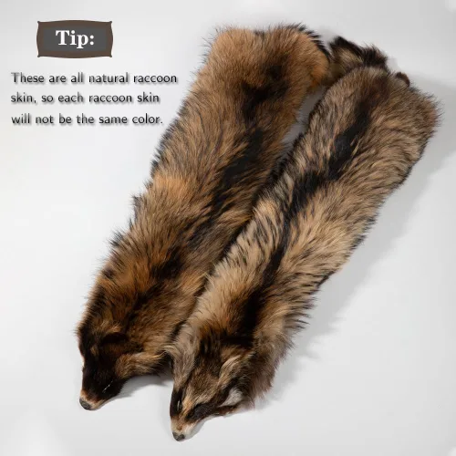 Miniatura 7 de Genuinas pieles curtidas naturales de mapache con pelaje clasificado de grado 1, pieles reales de mapache para atado de moscas, artesanías, abrigos