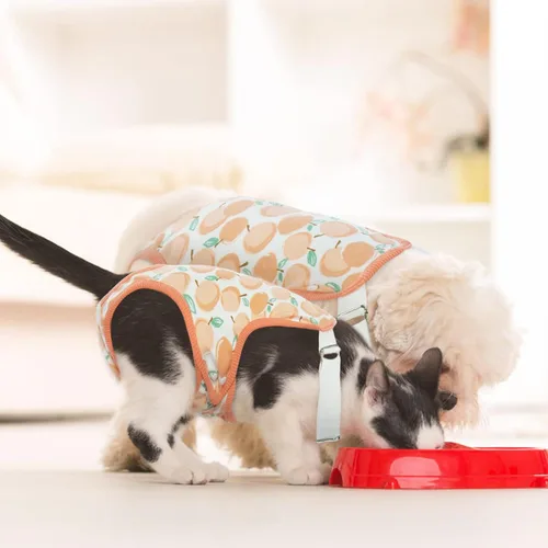 Miniatura 7 de QBLEEV Pañales para perras para hembra, lavables, sanitarios, con tirantes ajustables, pañales reutilizables para perros machos en celo, lindas