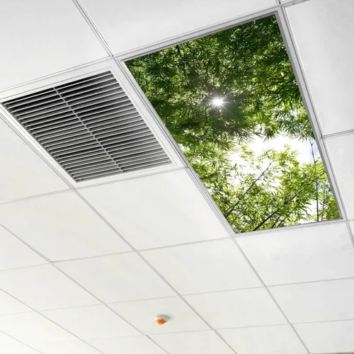 Miniatura 6 de Inserto de Cubierta de Luz de Techo Suspendido 4' x 2' pies (Naturaleza Bosque Hojas de Bambú Sol Verde) - Cubierta de Luz Fluorescente Reduce