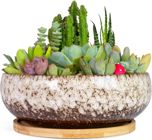 Miniatura 7 de ARTKETTY Macetas para Suculentas, Macetas Grandes para Suculentas de 8 Pulgadas con Drenaje, Maceta de Cerámica para Bonsái con Bandeja para Plantas