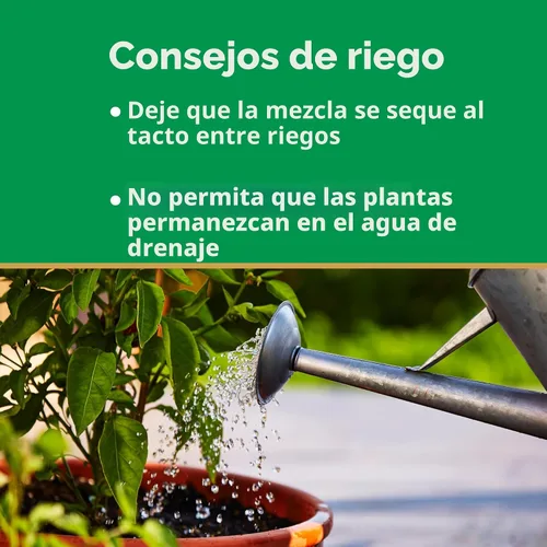 Miniatura 9 de Miracle-Gro Mezcla para macetas con control de humedad, para plantas en contenedor, protege contra el riego excesivo y insuficiente, 8 cuartos