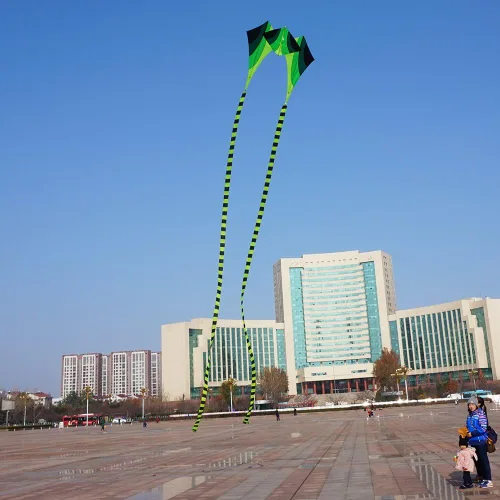 Besra Cometa grande de rana fluida de diamante 3D de una sola línea con 2 colas largas, deportes divertidos al aire libre para niños y adultos