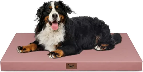 Miniatura 112 de Cama ortopédica de felpa para perros y cachorros medianos, camas impermeables para perros de 30 x 20 pulgadas con funda extraíble lavable, tapete