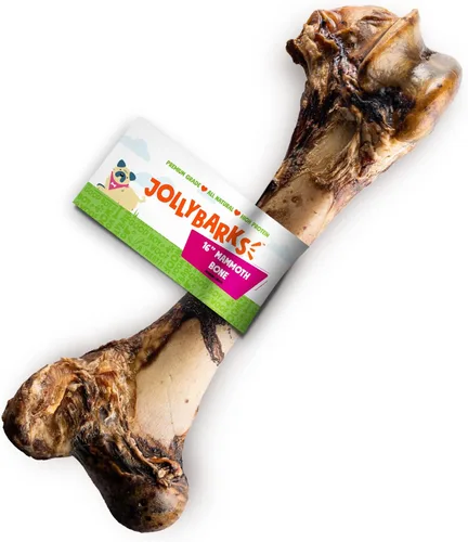 Mammoth - Huesos grandes para perros grandes, huesos de carne de fémur de 16 pulgadas para masticadores agresivos, hueso de perro gigante natural