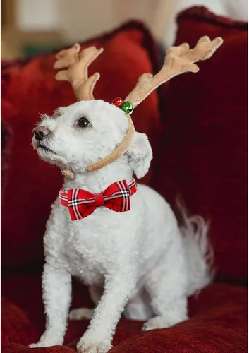 Miniatura 5 de Lionheart glory Collar de Navidad para perro, collar de lazo rojo para perro, collar de pingüino, ajustable, suave y cómodo, para perros pequeños