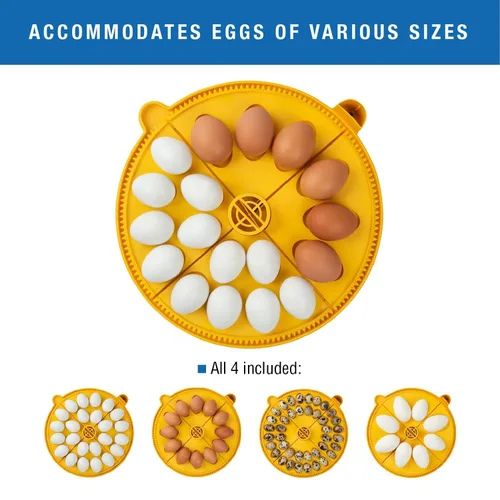 Miniatura 8 de Brinsea Mini II EX Connect App Controlled Egg Incubator with Automatic Humidity Control and Egg Turning for Hatching 7 Chicken, Quail, Other Eggs.