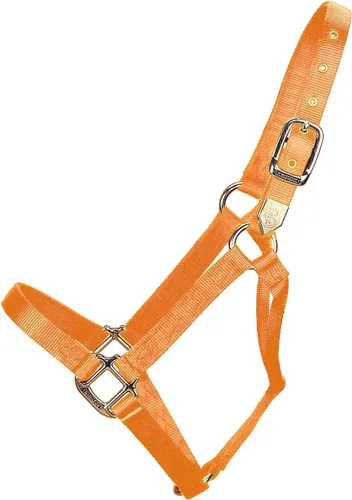 Miniatura 19 de Hamilton Caballo de nailon de 1 pulgada, tamaño pequeño (500-800 libras), azul baya