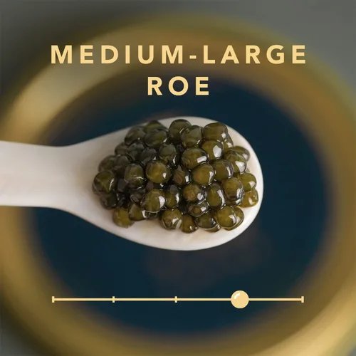 Miniatura 2 de Royal Osetra - Juego de regalo de caviar – 8 piezas – Caviar de Osetra real (3.5 onzas/3.53 oz), crema fraiche (8 onzas), caviar ruso Blinis