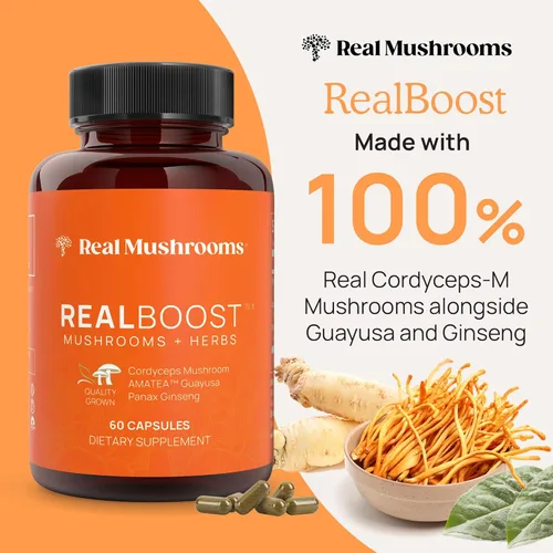 Miniatura 2 de Real Mushrooms RealBoost (60 ct), 5 defensores (90 unidades) y polvo de hongos de cola de pavo y cápsulas – Suplemento de hongos para energía