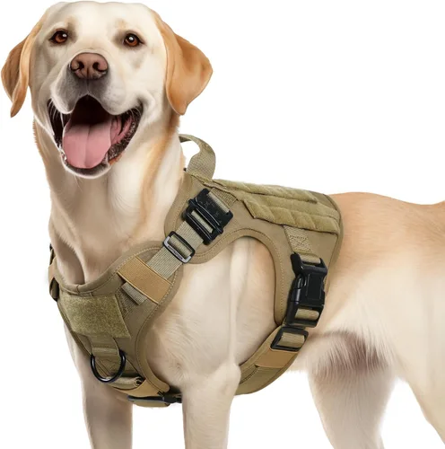 Miniatura 35 de rabbitgoo - Arnés táctico para perros pequeños, arnés resistente para mascotas con asa, chaleco de servicio sin tirones para razas pequeñas, chaleco