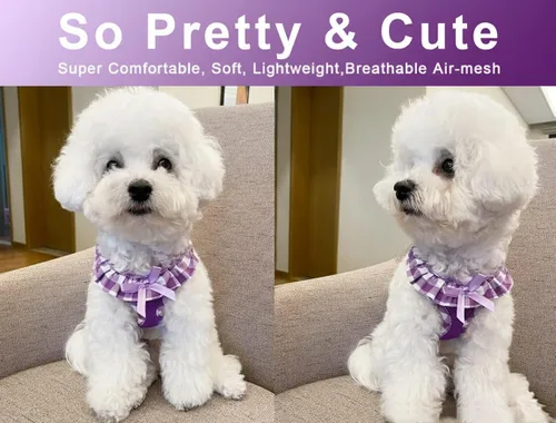Miniatura 10 de SuperBuddy Arnés para perro de malla suave mejorado, arneses súper transpirables y ligeros para mascotas, para cachorros, perros al aire libre