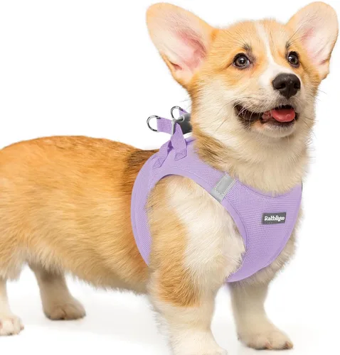 Miniatura 98 de rabbitgoo Arnés para perro pequeño, chaleco de malla suave para cachorros con hebilla de seguridad, arnés reflectante transpirable para mascotas