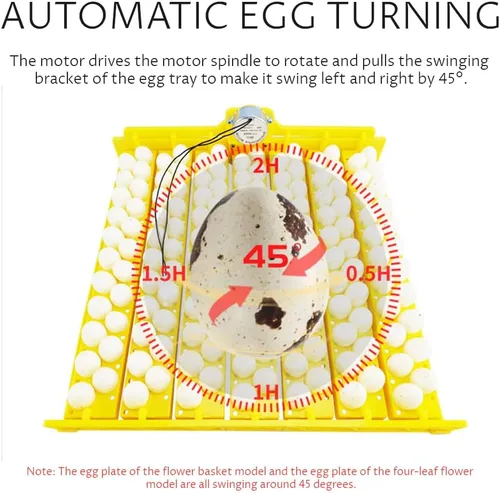 Miniatura 5 de Incubadora de 56 huevos, torneado automático y ajustable, incubadora para huevos de gallina, para incubar aves de corral, pollo, pato, pájaro