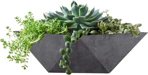 Miniatura 2 de The HC Companies Cuenco decorativo para suculentas de plástico facetado de 6 pulgadas, maceta decorativa única para interiores con orificio