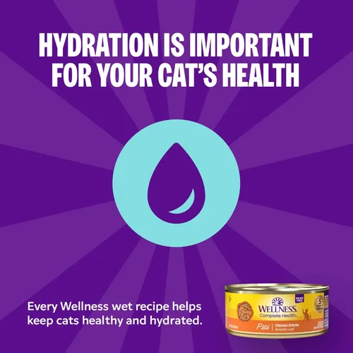 Miniatura 3 de Wellness Complete Health - Alimento húmedo en paté para gatos adultos, natural, rico en proteínas, sin granos, 12.5 onzas, paquete de 12 (pollo)
