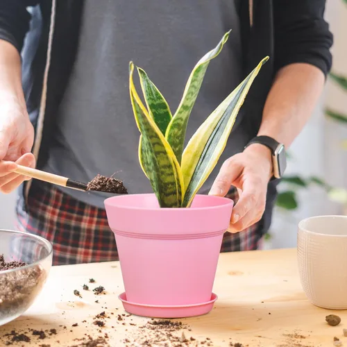 Miniatura 4 de Meowell Macetas de plástico de 6 pulgadas, paquete de 16 macetas para plantas de interior y exterior, macetas con agujeros de drenaje y platillos