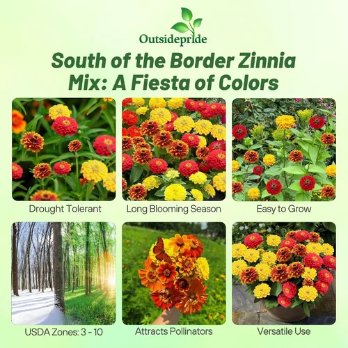 Miniatura 2 de Outsidepride - Zinnia Elegans, 1000 semillas anuales, South of The Border Flower Seed Mix, mezcla de semillas de flores para plantar
