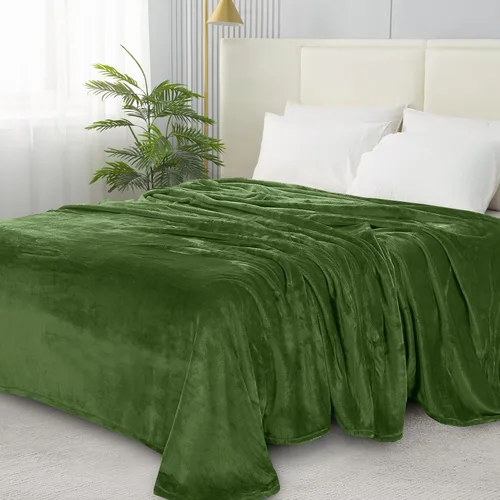 Elegant Comfort Manta ultrasuave de microterciopelo de lujo, suave, mullida, tamaño matrimonial/queen, verde