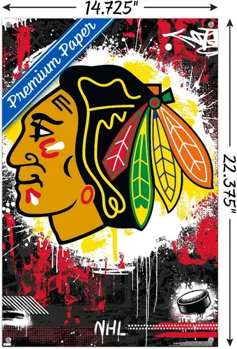 Miniatura 3 de Trends International NHL Chicago Blackhawks - Póster de pared con el logotipo Maximalist 23, 14.72 x 22.37 pulgadas, paquete de póster y alfiler