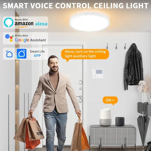 Miniatura 4 de Lámpara de techo de montaje empotrado de 12 pulgadas con control remoto y luces nocturnas, lámpara de techo LED regulable de 2700 K-6500 K, moderna
