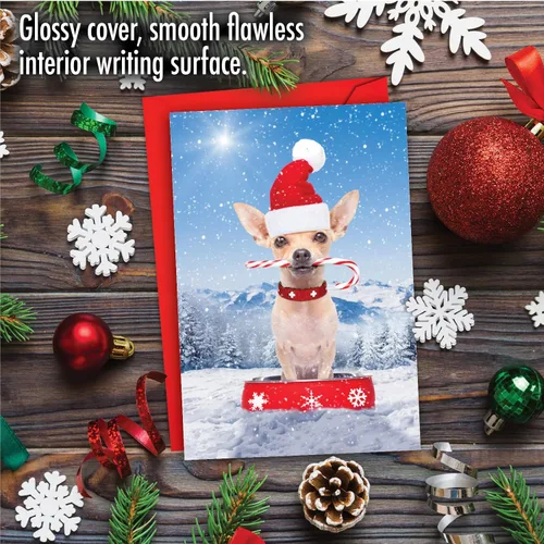 Miniatura 3 de The Best Card Company - Tarjeta de felicitación de Feliz Navidad con sobre (4.63 x 6.75 pulgadas) - Canine Antics C3194GXSG
