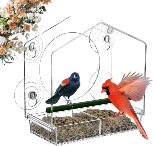 Comedero para pájaros con ventana – 4 ventosas fuertes de 2.36 pulgadas – Casa de pájaros de acrílico transparente para exteriores, bandeja Azul