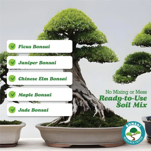 Miniatura 5 de Suelo de bonsái 100% orgánico – Mezcla para macetas totalmente natural y bien drenante para bonsáis saludables, suculentas, cactus y kokedama