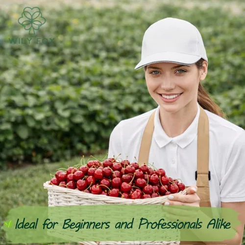 Miniatura 6 de Semillas de cerezo prémium para plantar, más de 30 semillas de cerezo dulce de reliquia para jardín doméstico, semillas de árboles frutales