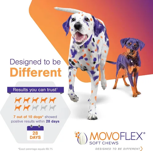 Miniatura 3 de MOVOFLEX - Masticables suaves para el apoyo de cadera y articulaciones para perros pequeños, 60 unidades de Virbac