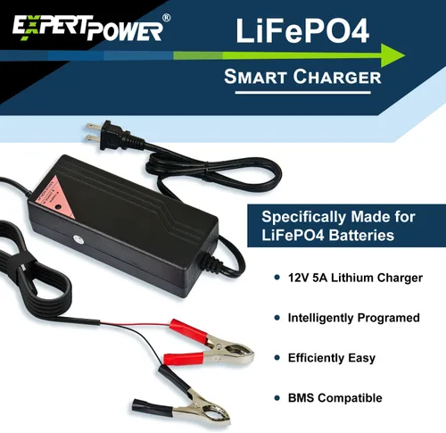 Miniatura 5 de Paquete de batería y cargador - Cargador de 12 V 5 A/batería de litio de 12 V 20 Ah LiFePO4