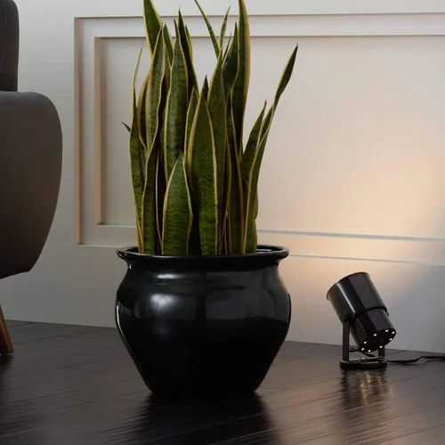 Miniatura 3 de Pro Track Foco pequeño de iluminación LED de acento para interiores, enchufable, direccional ajustable, planta de piso decorativa para el hogar
