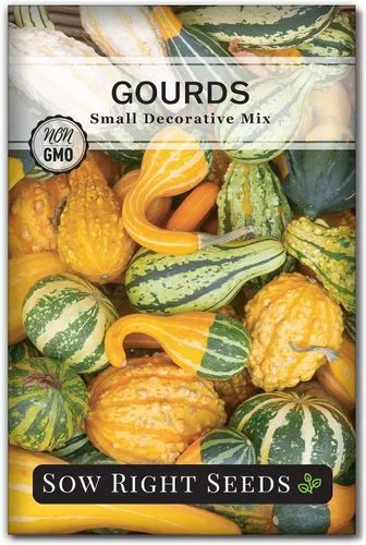 Sow Right Seeds - Mezcla de semillas decorativas de pequeñas calabazas para plantar - Paquete de reliquia sin OMG con instrucciones para plantar y