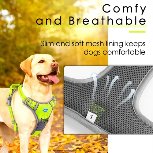 Miniatura 3 de ThinkPet Juego de arnés deportivo sin tirones, arnés deportivo transpirable con asa, chaleco de seguridad acolchado reflectante para perro con Arnés