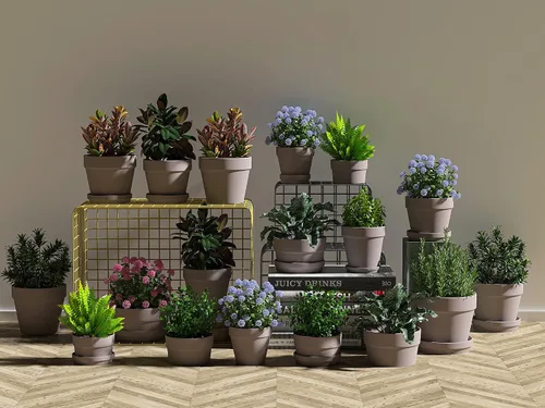 Miniatura 5 de 36 mini macetas negras, arcilla de 2 pulgadas, cactus y suculentas con drenaje, interiores y exteriores