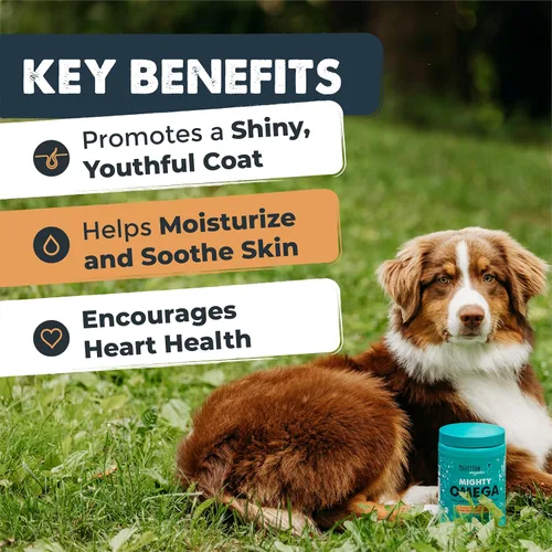 Miniatura 2 de Mighty Paw Waggables Mighty Omega (fabricado en los Estados Unidos, 120 unidades) Aceite de pescado omega 3 masticable para perros. Suplemento
