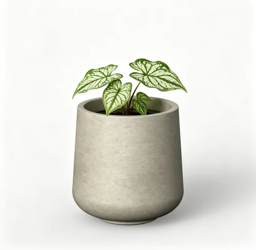 Miniatura 31 de Kante Maceta redonda de hormigón de 11.6 pulgadas de diámetro, macetas grandes para plantas de interior y exterior, contenedores con orificio
