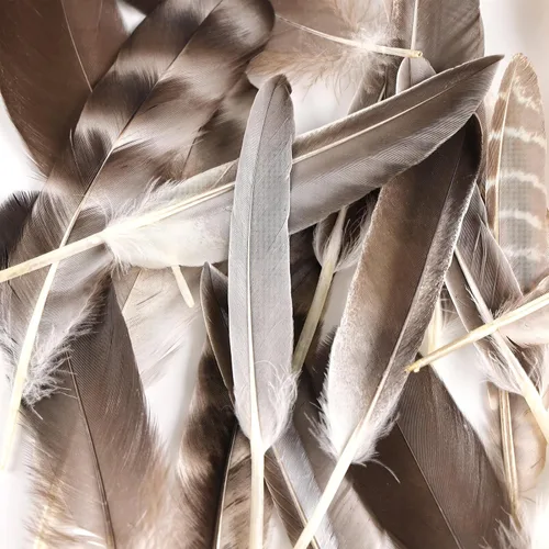 Miniatura 4 de MAOFENG 20 plumas naturales de faisán, 5 estilos de 5 a 9 pulgadas, 5.1-9.1 in para manualidades, boda, hogar, fiesta, sombrero, arreglos florales