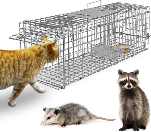 Miniatura 15 de TeqHome Trampa de jaula humana para ratas de 2 puertas, jaula de metal para animales vivos, pequeñas jaulas para roedores de liberación de capturas