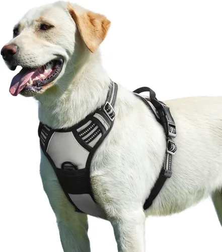 Miniatura 46 de Eagloo Arnés para perro pequeño, sin tirones, chaleco de servicio con tiras reflectantes y asa de control, ajustable y cómodo para caminar, arnés