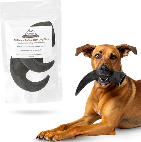 WhiteTail Naturals - Cuernos de búfalo de agua para perros (paquete de 2 grandes) Hueso de perro totalmente natural - Hueso masticable de larga