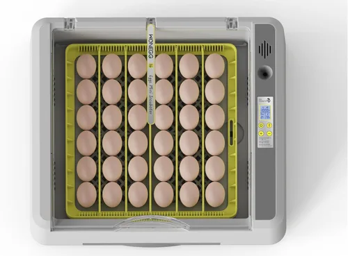 Miniatura 8 de Incubadora de huevos para incubar pollos, girador automático de 36 huevos con control de temperatura y humedad, vista panorámica multifuncional