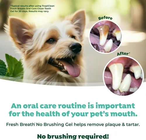 Miniatura 5 de TropiClean - Pasta de dientes para perros con aliento fresco, limpiador de dientes, removedor fácil de placa y sarro en gel, no se necesita cepillo