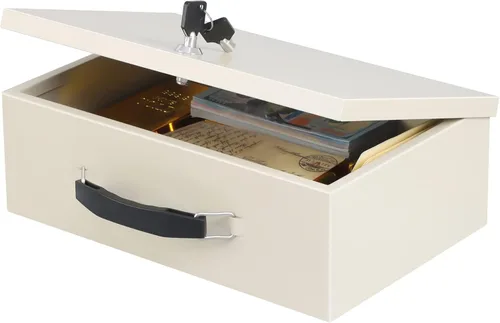 xydled Caja Fuerte Resistente al Fuego Caja Fuerte con Cerradura de Llave para Almacenamiento de Seguridad en Casa y Oficina de Objetos de Valor y