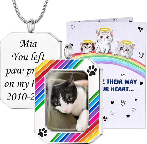 Miniatura 17 de Fanery Sue Collar personalizado para cenizas de mascotas para perros y gatos, foto y texto personalizados, regalo de condolencia, regalo de cremación