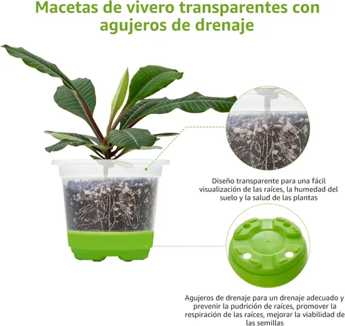 Miniatura 5 de MIXC Macetas de vivero engrosadas transparentes con base de silicona para fácil trasplante, 30 paquetes de 4 pulgadas, maceta transparente Verde