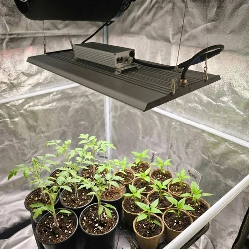 Miniatura 8 de MA1200 Luz de Crecimiento de Espectro Completo, Panel de Luz de Planta Regulable de 120 Vatios, Luz LED de Crecimiento para Inicio de Semillas