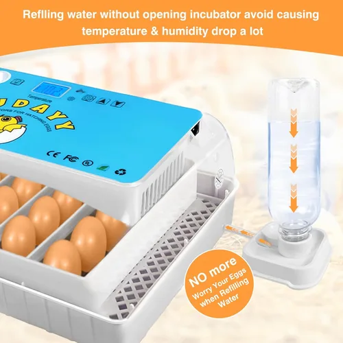 Miniatura 6 de Incubadoras para incubar huevos de 15-35 huevos con giro automático de huevos y pantalla de temperatura ℉ Incubadora de aves de corral LED