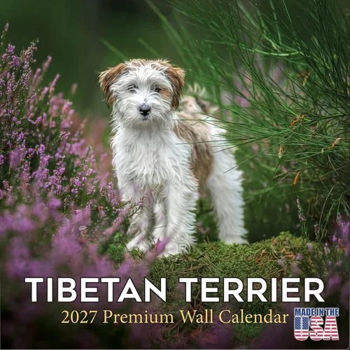 Miniatura 213 de Calendario amarillo 2025 2026 de Labrador Pups – Calendario mensual de pared de raza de perro – 12" x 24" abierto – Papel grueso anti-traspaso
